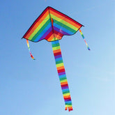Long Tail Rainbow Pride Kite